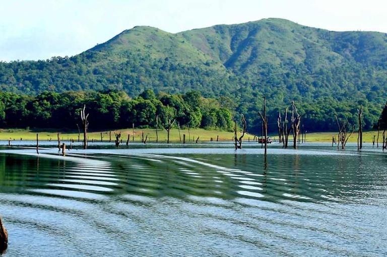 Thekkady
