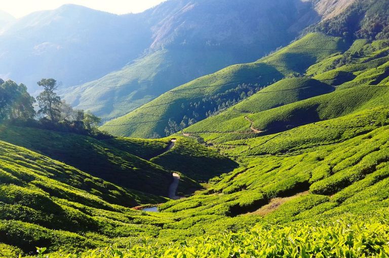 theni