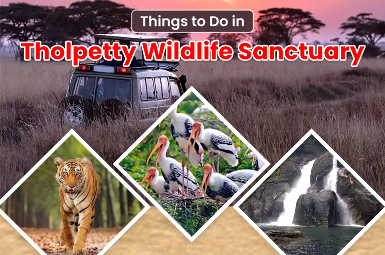 things-to-do-in-tholpetty-wildlife-sanctuary