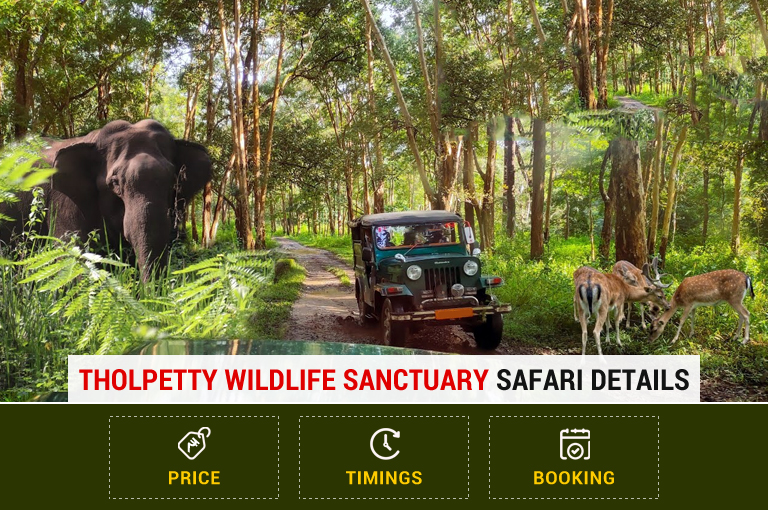 tholpetty-wildlife-sanctuary-safari-details