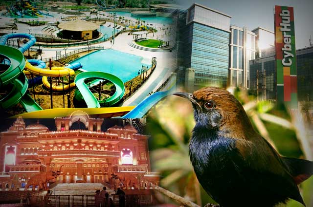 Top 10 Popular Tourist Places To Visit In Gurgaon