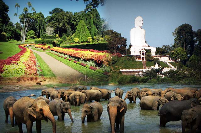 Top 15 Places To Visit In Kandy,Famous Tourist Attractions in Kandy