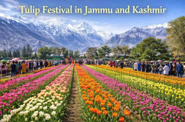 Tulip Festival in Jammu and Kashmir