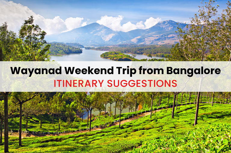 wayanad-from-bangalore-itinerary-suggestions