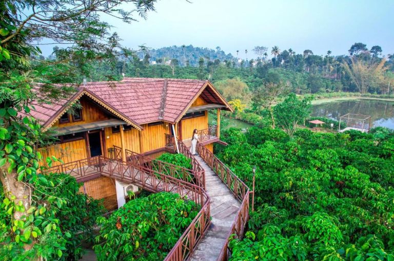 wayanad