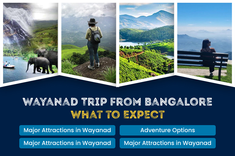 wayanad-trip-from-bangalore