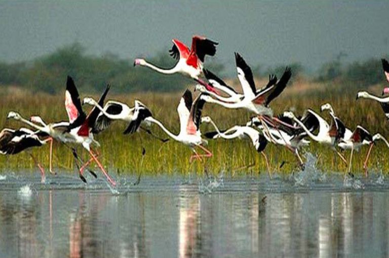 Bharatpur