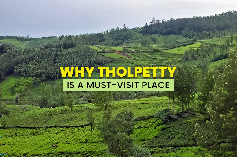 why-tholpetty-Is-a-must-visit-place