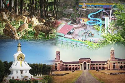 10 Best Travel Agents in Dehradun