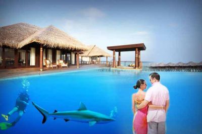 12 Splendid Reasons to Spend Your Honeymoon in Maldives