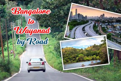 Bangalore To Wayanad By Road: The Perfect Weekend Getaway