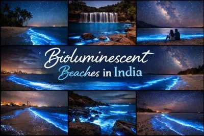 bioluminescent-beaches-in-india