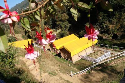 Camping Places Near Shimla