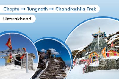Chopta Tungnath Chandrashila Trek uttarakhand