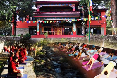 Famous And Affordable Yoga Ashram In Dharamshala