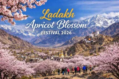 apricot-blossom-ladakh