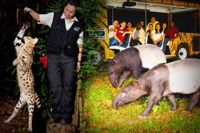 Singapore Night Safari- An Experience In Itself
