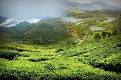 The Beauteous Hill Stations in Tamil Nadu