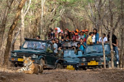 The Ultimate Guide to Jeep Safari in Thekkady Kerala