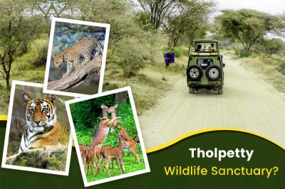 Tholpetty Wildlife Sanctuary Travel Guide- Safari, Flora & Fauna