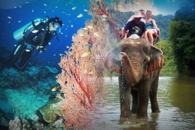 Top 12 Tourist Places To Visit in Andaman