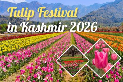 tulip-festival-in-kashmir