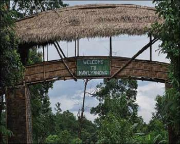 mowlyonnong Tree House