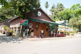 Chatham Forest Museum