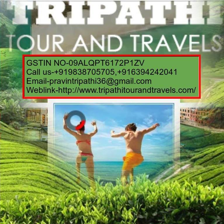 Tripathi Travels - 392179 Photo Gallery,View Image Gallery of Tripathi ...