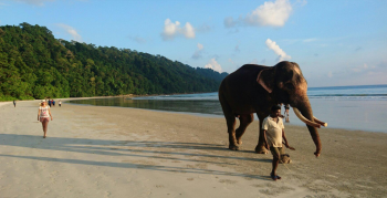 Radhanagar Beach
