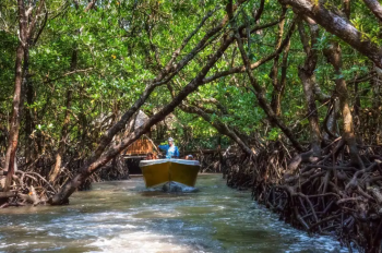 Baratang island mangrove creek