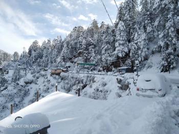 Shimla Snow view