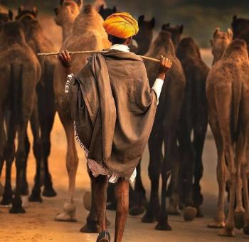 Aapno Rajasthan