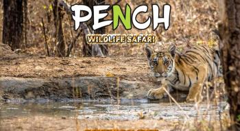 pench