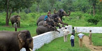 Mysore Coorg Ooty 6Days