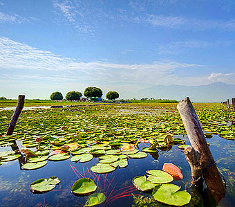 Dal Lake