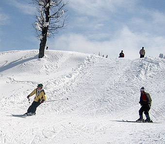 Gulmarg