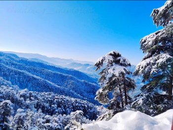 Shimla Snow Valley