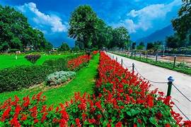 Mughal Gardens Srinagar