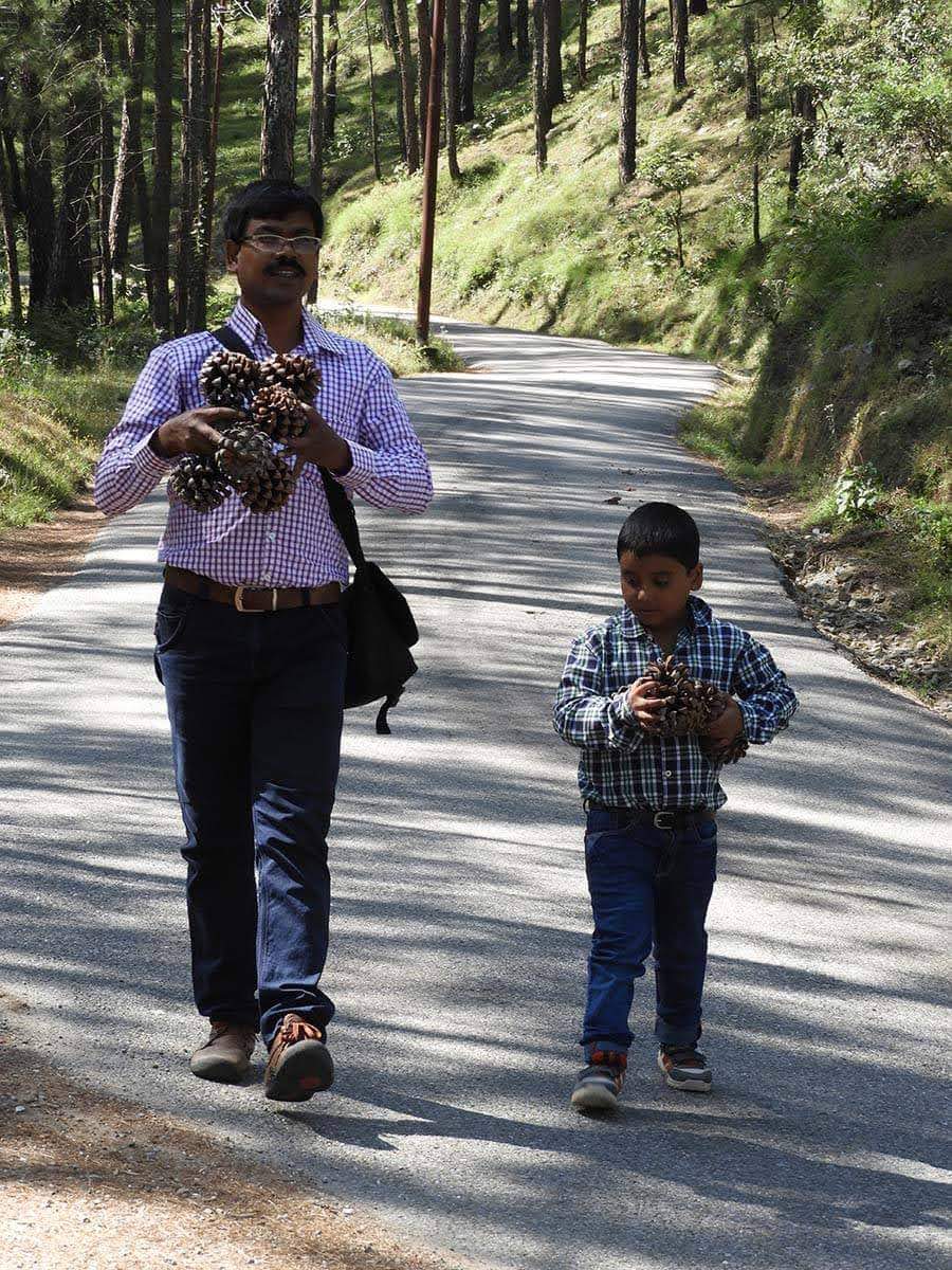 Ranikhet