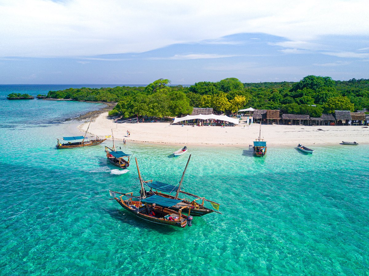 Safari Blue Zanzibar