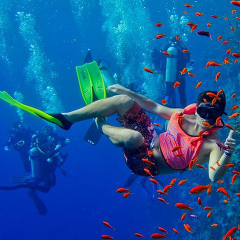 Mnemba Atoll Snorkeling Zanzibar