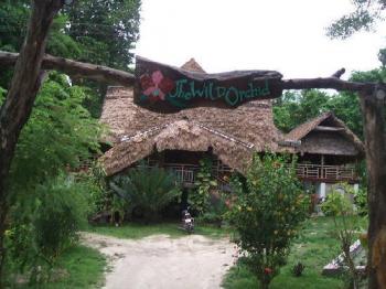 The Wild Orchid Resort