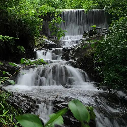 Wayanad 2