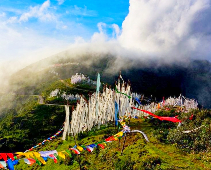 Fresh Air of Chelela Pass