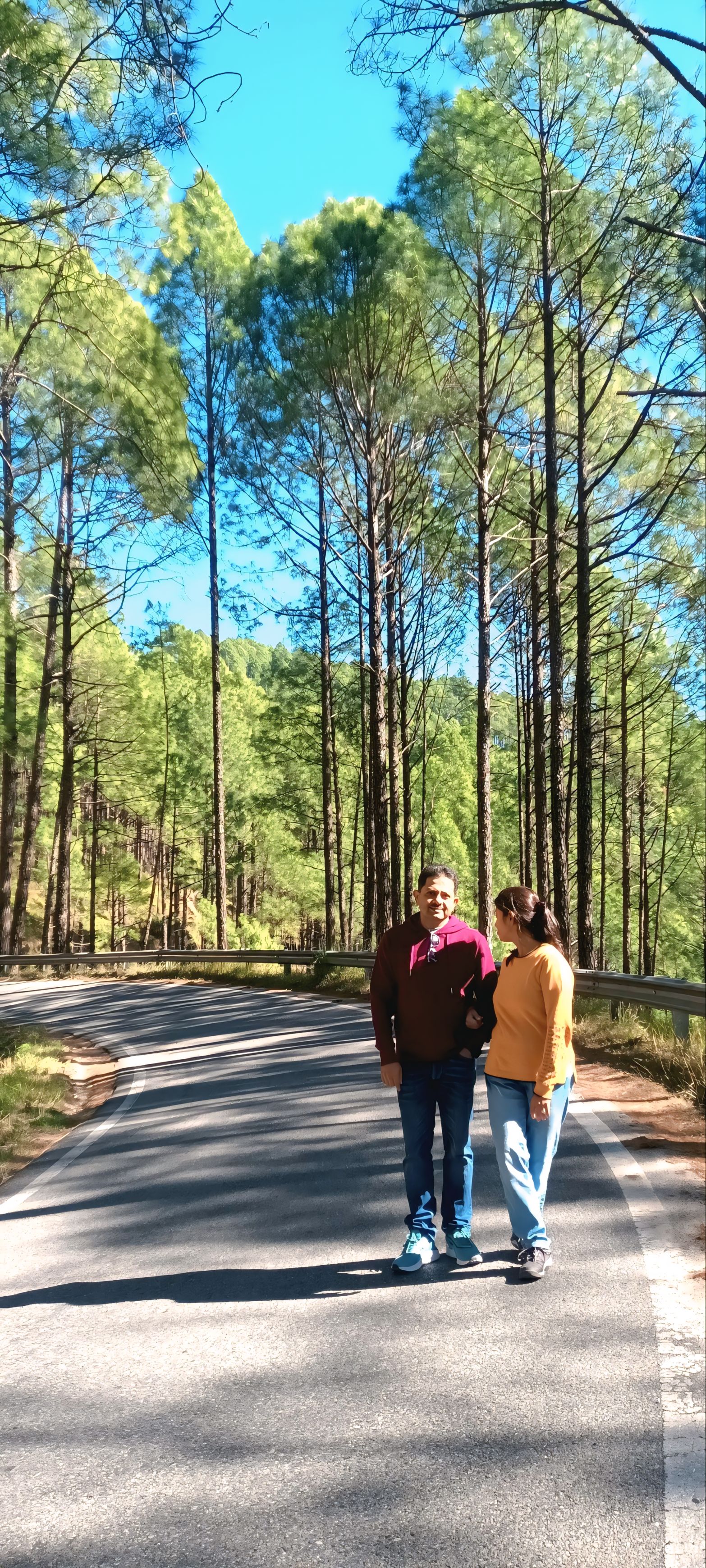 Chaukori to Munsyari on the way