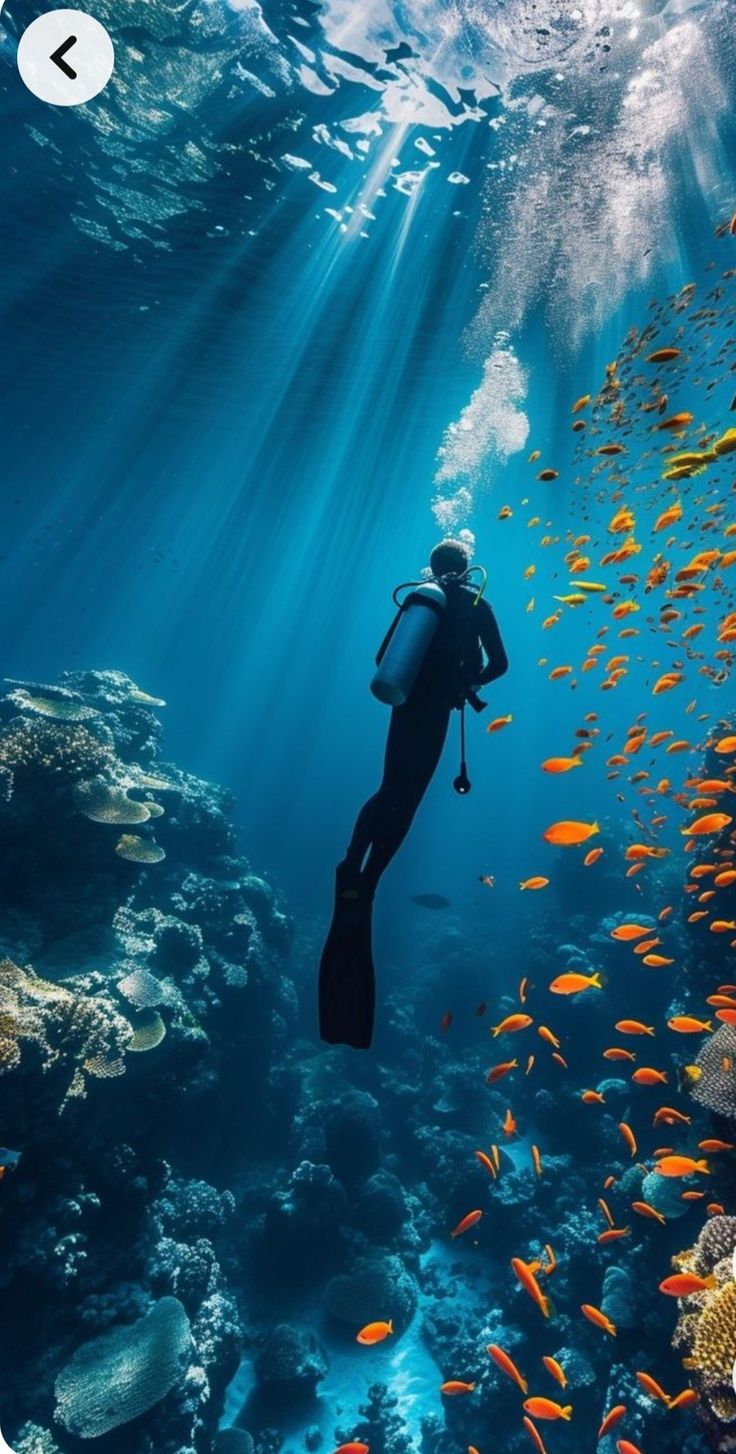 Water sports activities