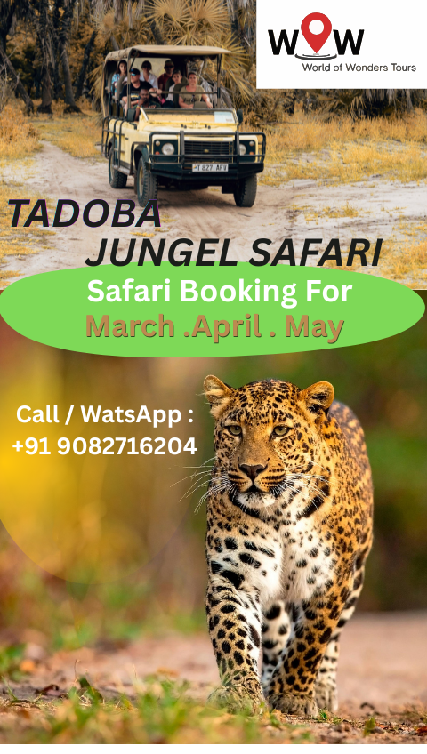Tadoba Wildlife