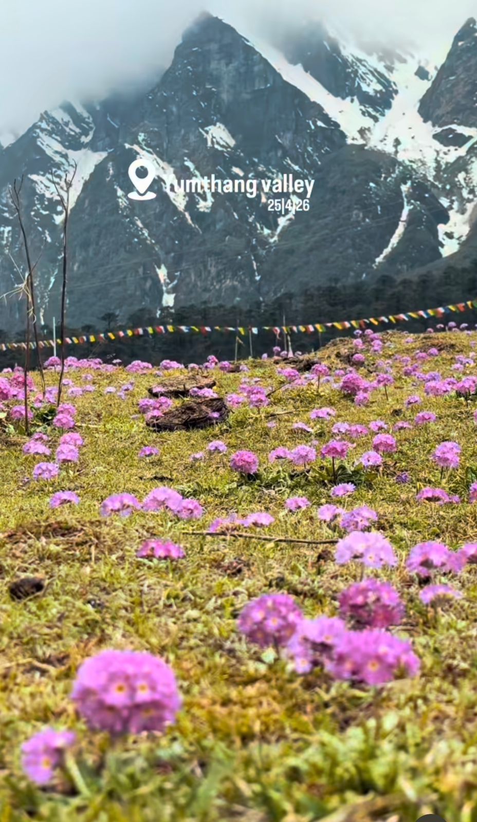 Yumthang