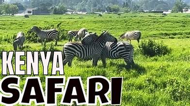 lake nakuru latest images